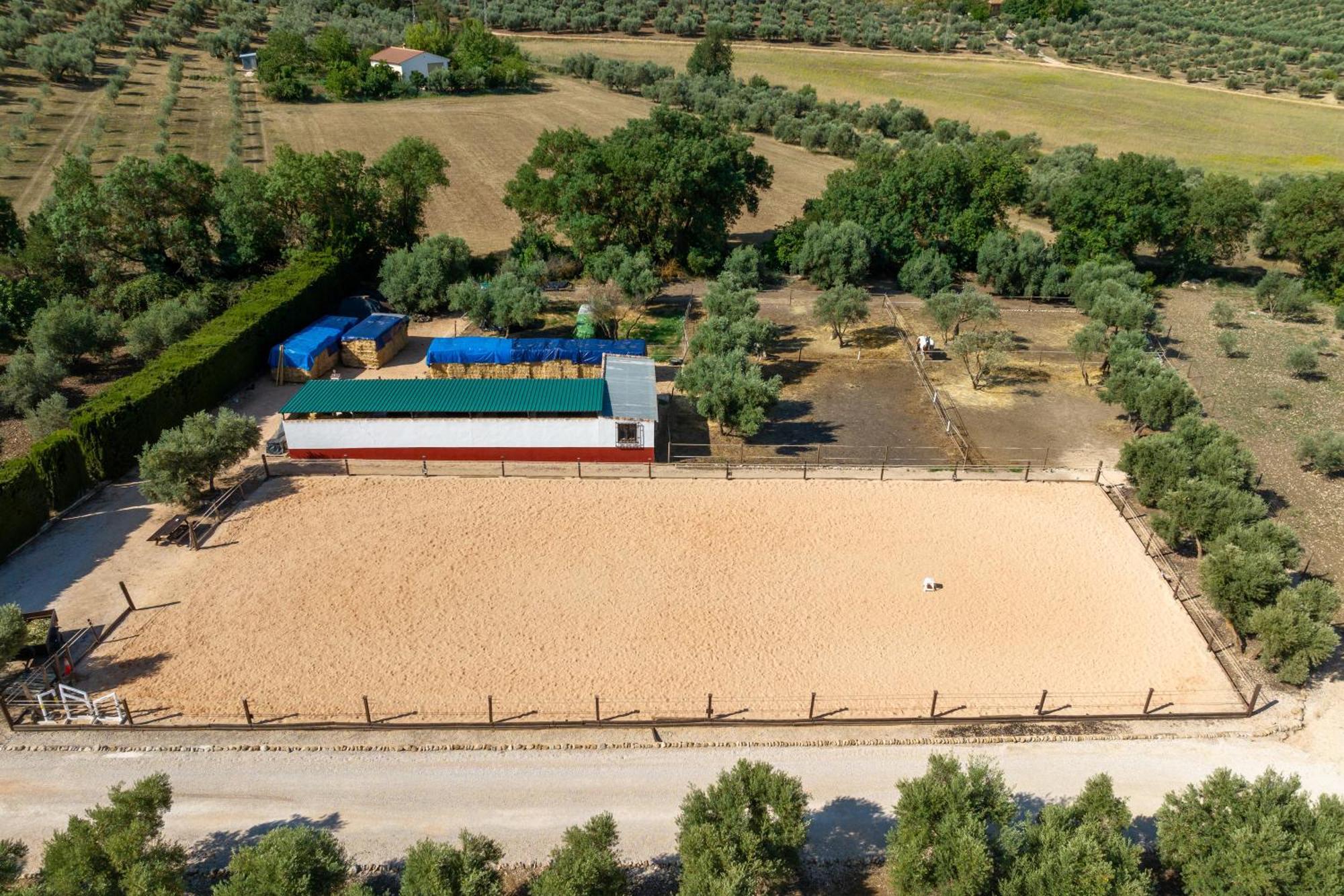 Pasa Fina, Luxury Holiday Retreat Villanueva del Trabuco Exterior photo